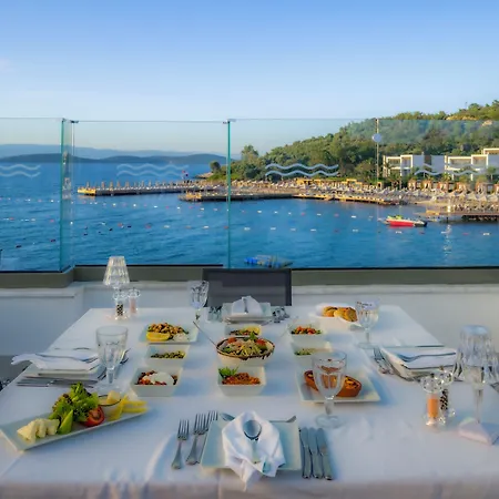 Samara Bodrum Ultra 托尔巴
